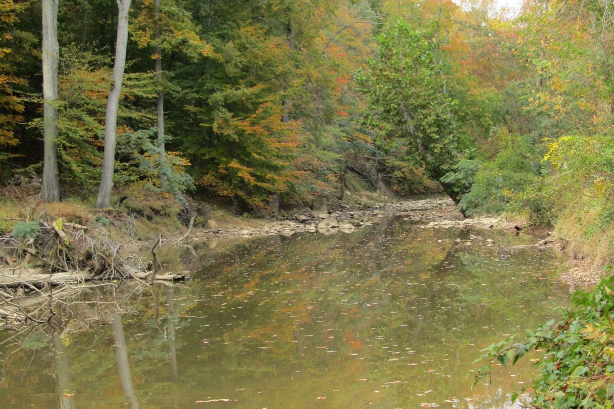 Lake Accotink in Fairfax County, photographed in 2010