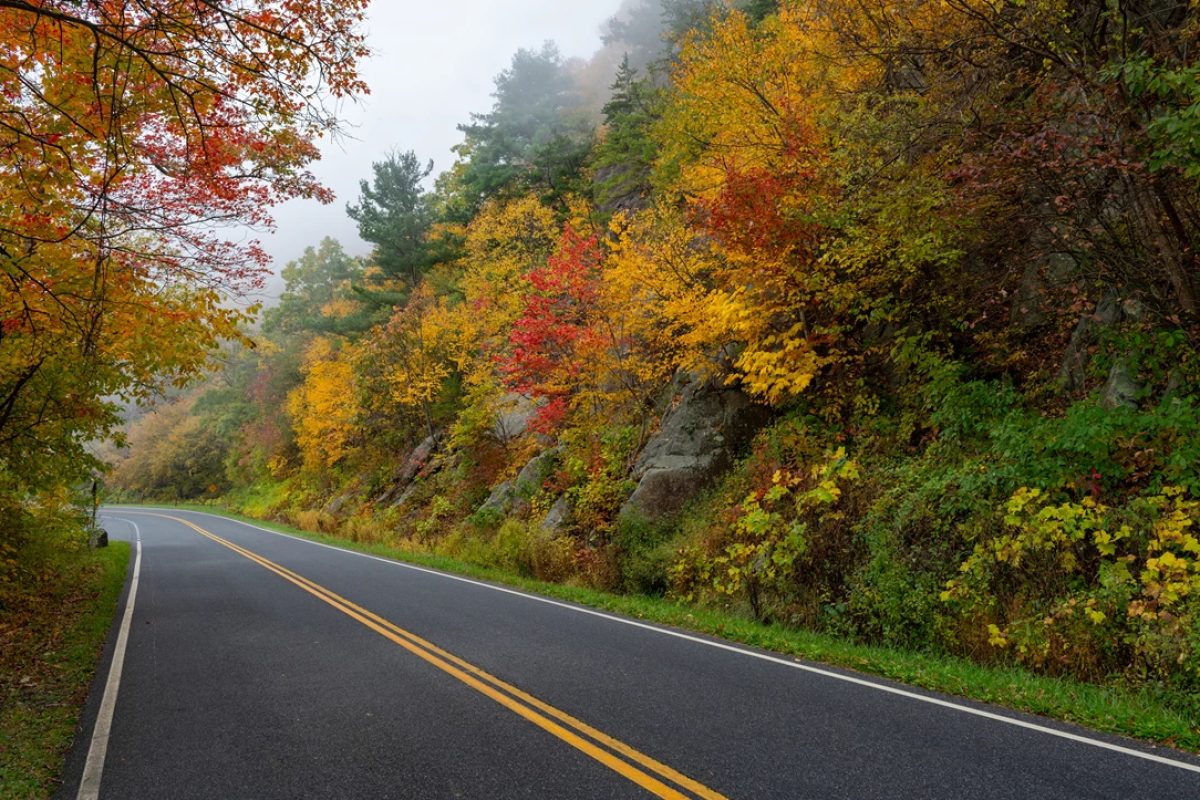 Autumn along Skyline Drive in Shenandoah National Park