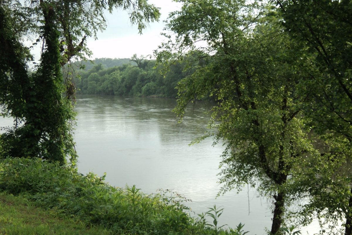 The Dan River in Danville, 2010